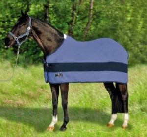Obrazek